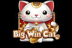 Big Win Cat Slot