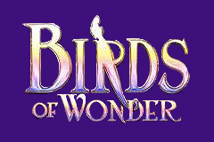 Birds of Wonder