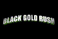 Black Gold Rush