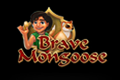 Brave Mongoose