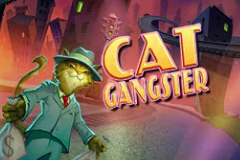 Cat Gangster