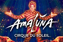 Cirque Du Soleil Amaluna