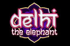 Delhi The Elephant