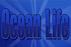 Ocean Life Slot