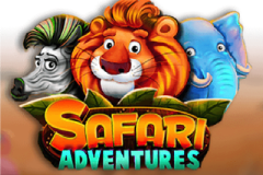 Safari Adventures